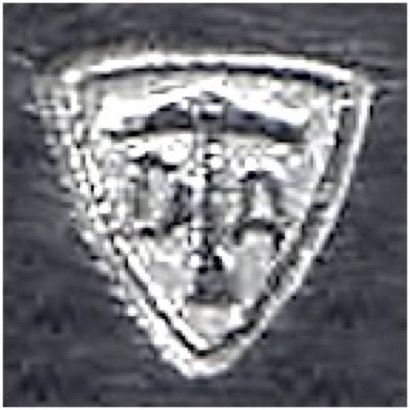 pastedGraphic.pdf